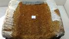 1109102134 Mercedes Seat Cushion Pad Top Front Oem Classic