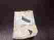 1657540 Gm 1975 Chevrolet Oldsmobile Buick Nos Seat Reclining Knob Fits All X Bo
