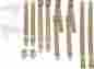 2850-70buk-650 Pg Classic Mopar 1970 E-body Bucket Seat Belt Set Tan