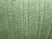 9418 Oem Gm Automotive Seat Fabric 1979 Chevy Malibu Classic Green
