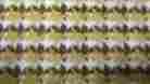 9433 Oem 1979 Gm Chevrolet-hot Rod Upholstery Seat Fabric Gold White Dk Brown