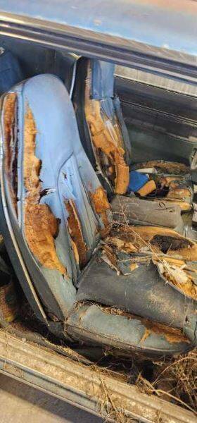 202.am1k71 American Motors 1971 Amc Javelin Front Bucket Seats Pair Left/right For Recover 1142297