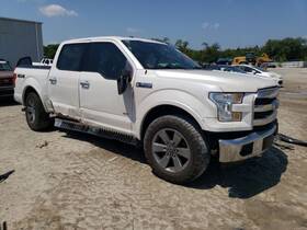 206.fd8515 Ford Truck F150 2015 Headrest 7381564