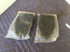 Gmk403261269p 27915952 Inline Tube Chevelle Gm Door Jamb Interior Jam Quarter Panel