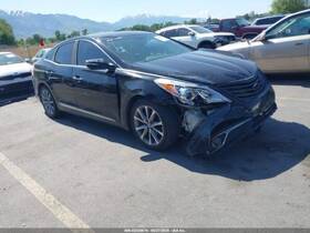 206.hy1t16 Hyundai Azera 2016 Headrest 7813594