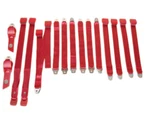 Pg Classic 1850-69BEN-528 Mopar 1968-69 B-body Bench Seat Belt Set Red. Fixed Price $906.99.