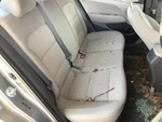 Elantra 2019 Seat Rear 4691891. Fixed Price $437.50.