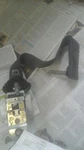 2012 Expedition Left Drivers Rear Retractor Seat Belt. Fixed Price $81.00.