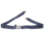 Seat Belt, Stock Style, 2 Point, Blue Dunebuggy & Vw. Fixed Price $42.82.
