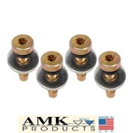 69 70 71 72 73 Fairlane Mustang Torino Front Seat Belt Mounting Fastener Kit Amk. Fixed Price $27.95.