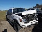 Driver Left Front Door Electric Fits 09-14 Ford F150 Pickup 1999790. Fixed Price $595.94.