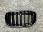 14 15 16 17 18 Bmw X5 Left Grille Upper Kidney 51137294485 Chrome. Fixed Price $34.99.