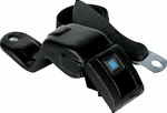 Oer Front Seat Belt Standard Interior 1967-1969 Pontiac Firebird & Chevy Camaro. Fixed Price $169.98.