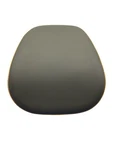 2025 Lucid Air Oem Front Right Purluxe Leather W/tahoe Stitch. Fixed Price $212.03.