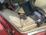 2013-2013 Nissan Altima Passenger Front Seat Oem Beige Xgrve. Fixed Price $652.50.