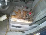 Driver Front Seat Bucket Fits 05-06 08-10 Porsche Cayenne 194383. Fixed Price $100.00.
