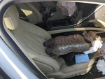 2013-2014 Lincoln Mkz Passenger Front Seat Oem C49CL. Fixed Price $813.09.