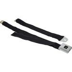 1968-69 Camaro Firebird; Rear Seat Belt; Deluxe Interior; Silver Starburst. Fixed Price $149.99.