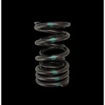 Brian Crower BC1040 Dual Valve Springs For 2002 2006 Acura Rsx K20A2. Fixed Price $261.86.