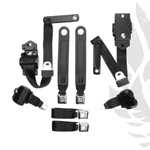 1976-81 Pontiac Firebird Trans Am Seat Belts; Full Set, Front/rear Colors. Fixed Price $633.59.