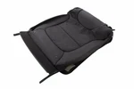Genuine Gm Black Rear Driver Side Seat Back Cover 42789753. Fixed Price $259.20.