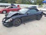 Mustang 2019 Seat Rear 4926333. Fixed Price $437.50.