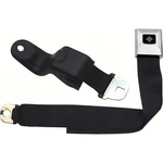 1968-69 Camaro/firebird; Front Seat Belt; Deluxe Interior; Silver Starburst. Fixed Price $179.99.