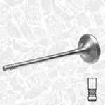 Intake Valve Bmw Mini 2,0 3,0 11127797711 B57D30C N47D20C N47D20D N57D30B. Fixed Price $6.91.
