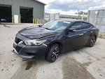 Maxima 2018 Seat Rear 1740856. Fixed Price $549.90.