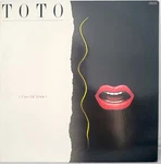 Toto Isolation Japan Vinyl Insert 28AP-2929. Fixed Price $19.99.