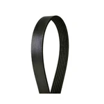 Serpentine Belt-multi-v Stretch 4060402S Fits 11-19 Ford Fiesta 1.6L-L4. Fixed Price $29.60.