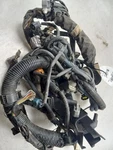 01 02 Toyota Prius Engine Wire Harness 82121-47030. Fixed Price $139.99.