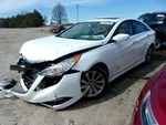 Sonata 2014 Seat Rear 1692531. Fixed Price $664.99.
