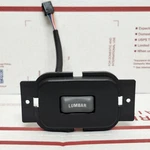 98-05 Chevy S10 Blazer Front Left Seat Lumbar Switch W/ Graphite Trim Oem. Fixed Price $31.45.