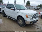 Passenger Front Seat 40/20/40 Fits 11 Ford F150 Pickup 1760907. Fixed Price $559.99.