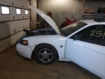 Mustang 2004 Seat Rear 2105435. Fixed Price $100.00.