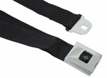 Oer Deluxe Interior Rear Seat Belt For 1968-1969 Pontiac Firebird Chevy Camaro. Fixed Price $159.98.