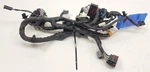 2017-2020 Ford F250 F350 King Ranch Front Left Driver Seat Wiring Harness. Fixed Price $186.30.
