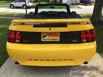 Ford Mustang Rear Vinyl Decal Deck Lid Trunk Panel 1999 2000. Fixed Price $34.99.