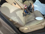 2011-2011 Ford F-150 Passenger Front Seat Oem J62ML. Fixed Price $685.13.