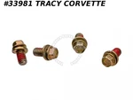 1968-1978 Corvette Seat Track To Frame Mounting Bolts For 3930347. Fixed Price $17.00.
