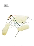 Mercedes 164 Gl/r/ml-class Driver Front Seat Multicontour Dynamic Lumbar Bolster. Fixed Price $199.99.